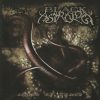 BLACK ASTROLOGY-CD-Abyss Of Chaos