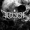 DEGESCH-CD-Degesch