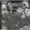 SEPULCHRAL-CD-Back From The Dead