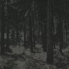 MOLOCH-CD-Abstrakter Wald