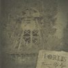 FORLIS-CD-Tissue Of Life
