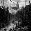 WOODTEMPLE-CD-Voices Of Pagan Mountains