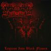SMOULDERING IN FORGOTTEN-CD-Legions Into Black Flames
