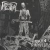 INTESTINAL-CD-Human Harvest