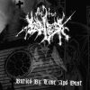 THE TRUE ENDLESS-CD-Buried By Time And Dust