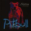 PITBULL-CD-Schatten