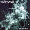 VEDIOG SVAOR-CD-In The Distance