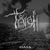 TAIGA-CD-Gaia