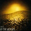 IN THE WOODS…-Digipack-Omnio