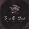FIST OF STEEL-CD-Sons Of Brazil