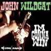 JOHN WILDCAT-CD-I’m Gonna Win
