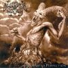 SUFFERING SOULS-CD-Incarnated Perfection