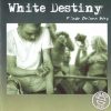 WHITE DESTINY-CD-Finde Deinen Weg